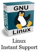 Linux computer remote support